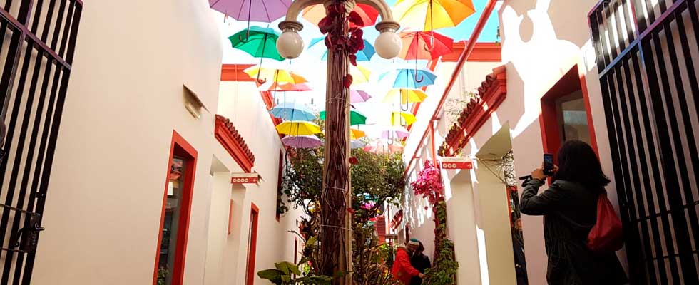 Galería Solar French - Compras